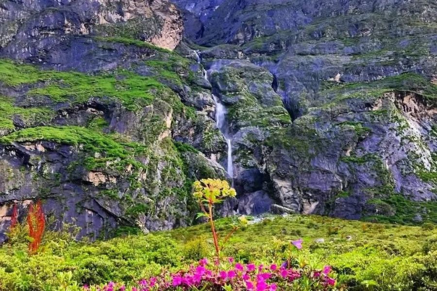 Waterfall cascading down cliff face with colorful wildflowers in foreground during monsoon season